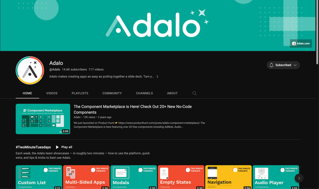 Adalo Rig Adalo